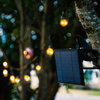 Brightech Ambience Pro Solar Powered Outdoor String Lights - 1W LED, Soft White,