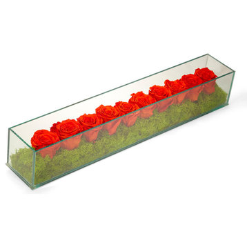 Preserved Roses in Rectangular Glass Box, Orange