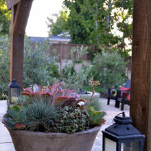 container ideas