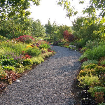 Deer Resistant Garden