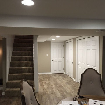 Basement Remodel