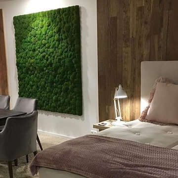 Preserved Plants Moss Design