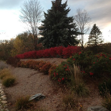 Landscape Berm in Brighton Michigan