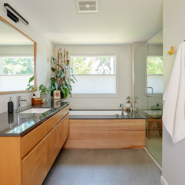 Primary Suite Redesign