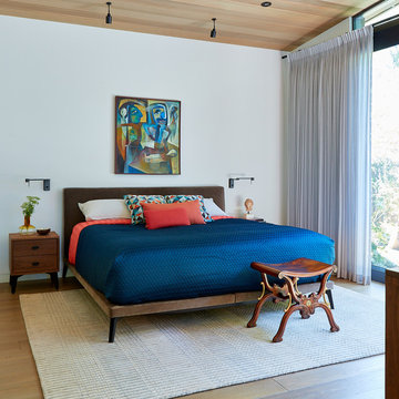 Modern Oasis