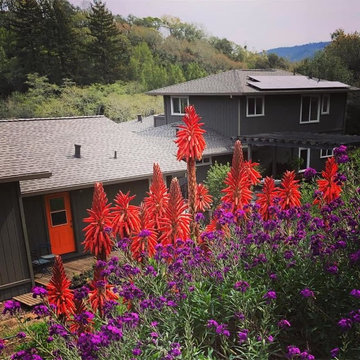 Sonoma County Garden
