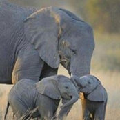 Esther Kooistra's photo