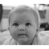 Kelly Koenigs's photo