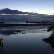 Tracey Fergusons foto