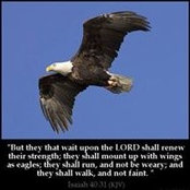 Arlene Sieck's photo