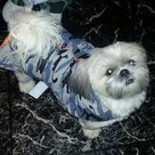 Lynn Carpenter's photo