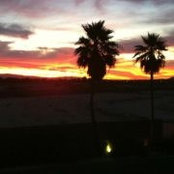Martin Foster's photo