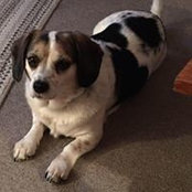 Cyndi Kay Oglesby's photo