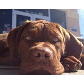 Sacha Spahn's photo