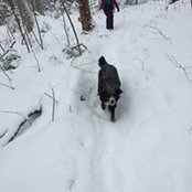 Christine Roy's photo