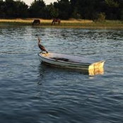 Donn Buck's photo