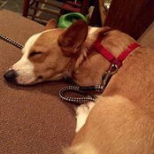Rusty Hadesty's photo