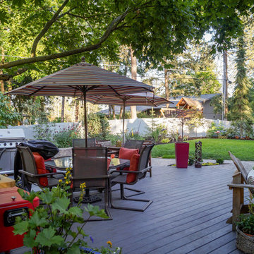 Mid-Century Backyard