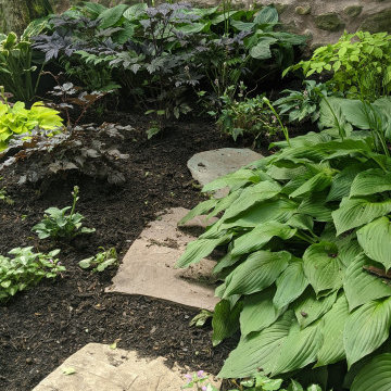 Shade Garden/Moon Garden/Fairy Garden