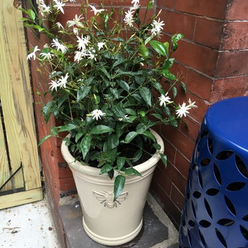 Philadelphia Patio