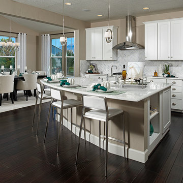 Jessica model home in Washington