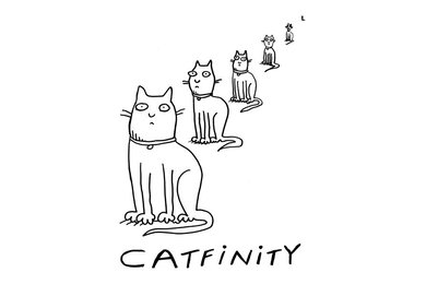 CATFINITY