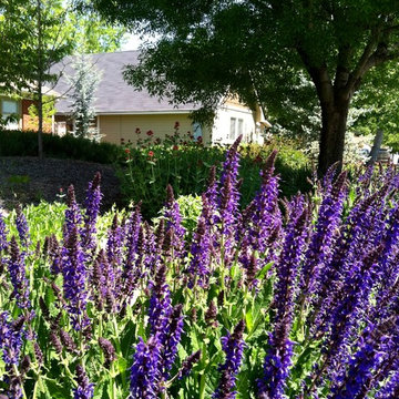 Kootenai Street Residence - xeriscape design
