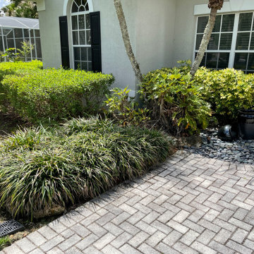 Front and Backyard Landscape Renovation with a Drainage Challenge