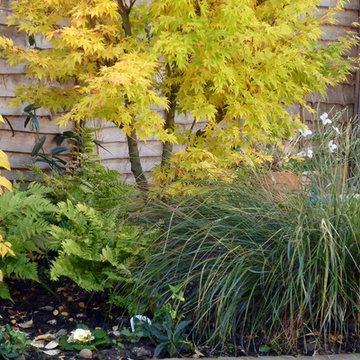 Traditional Garden for an Edwardian House
