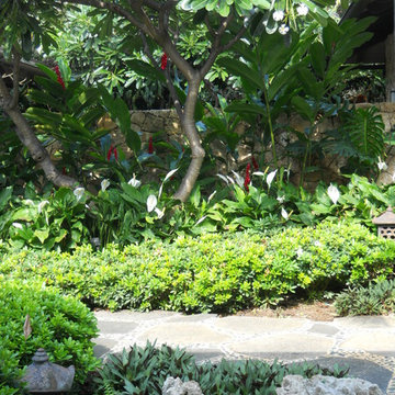 Oahu Landscapes