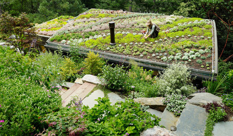 How to Live an Eco-Friendly Life