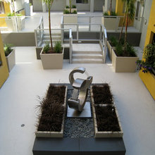 Pool and Patio