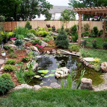 Ponds