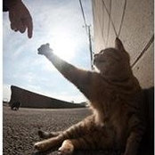Sue Girouard's photo
