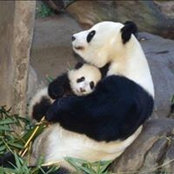 Maria Ruiz's photo