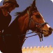 Tala Momani's photo