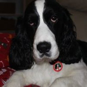 Sue Senkowski's photo