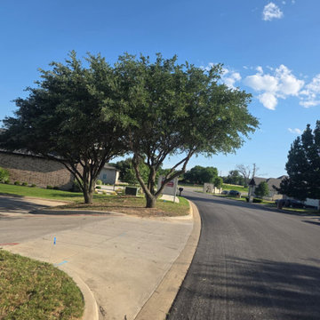 General Tree Services