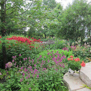 Sweeping perennial bed with bee balm and Hummelo lamb's ear in full bloom