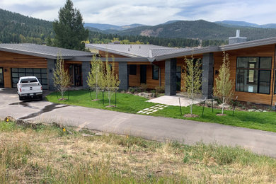 Home design - contemporary home design idea in Denver