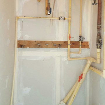 mold remediation