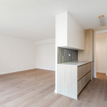 Full Apartment Renovation