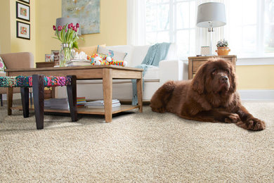 STAINMASTER® PetProtect™ carpet