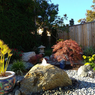 Sidney back yard