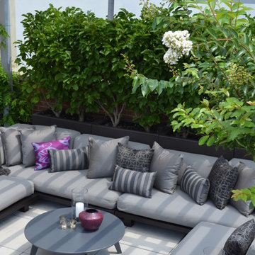 Financial District Penthouse