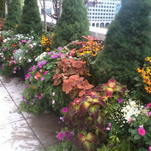 Ryan’s Garden