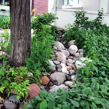 Rain Gardens
