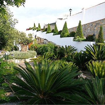 Villa Aurelia