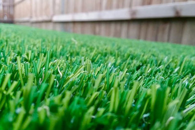 Artificial Grass Supplier