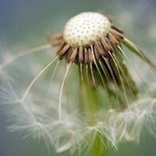 Jaime Almquist's photo